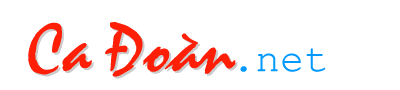 main-banner